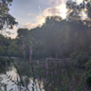 Meet your Posher, Collin